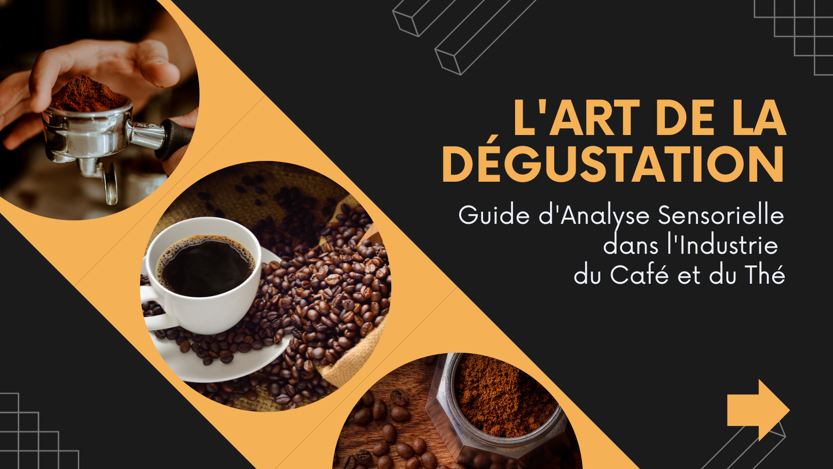 Guide d’Analyse Sensorielle dans l’Industrie du Café et du Thé
